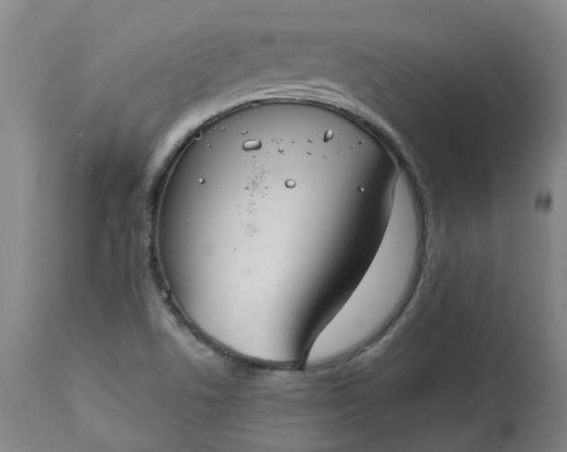 X0000113061506200909110902