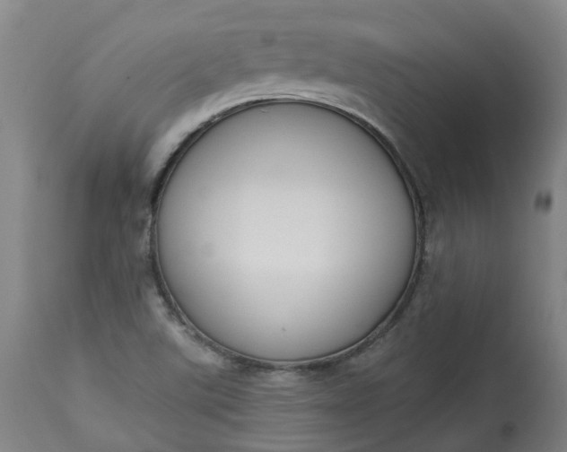 X0000113061507200909110902