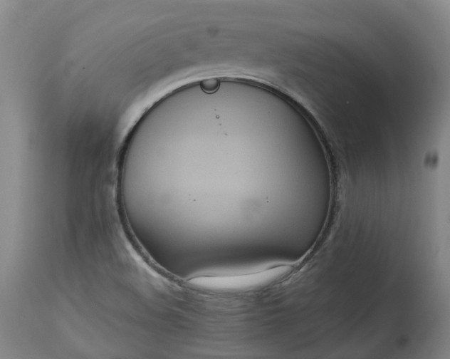 X0000113061508200909110902