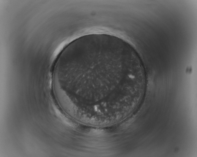 X0000113061509200909110902