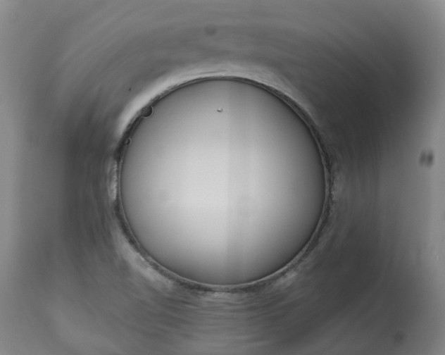 X0000113061510200909110902