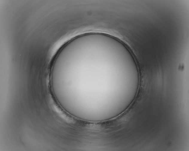 X0000113061511200909110902