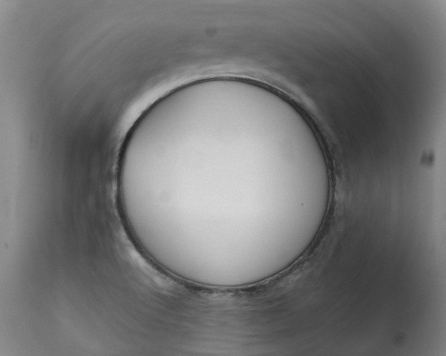 X0000113061512200909110902