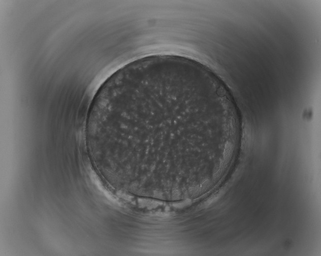 X0000113061513200909110902