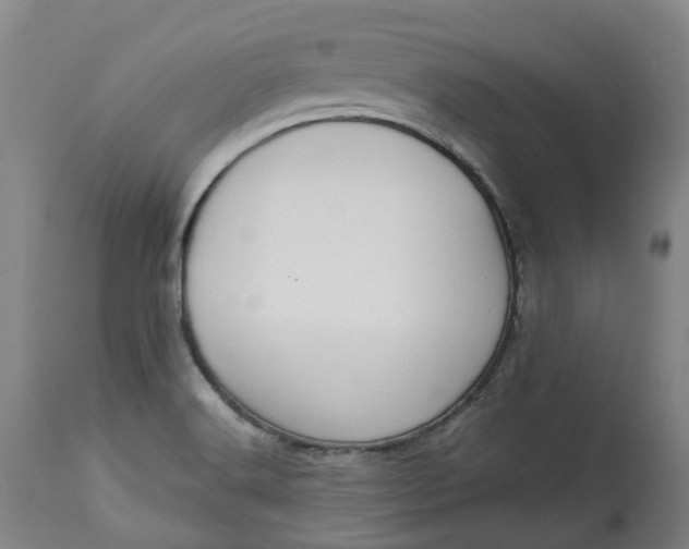 X0000113061516200909110902