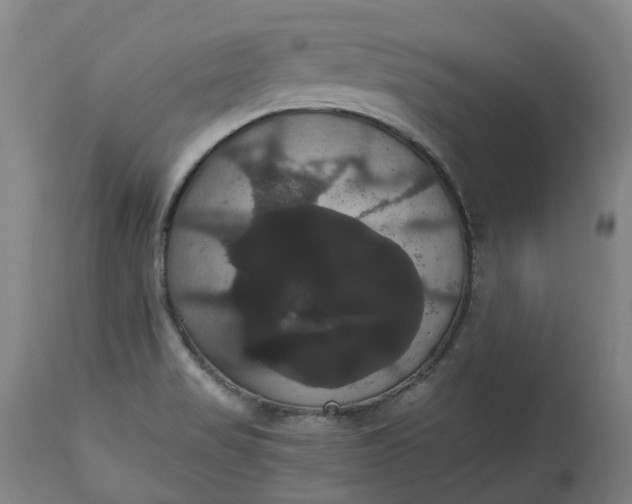 X0000113061517200909110902