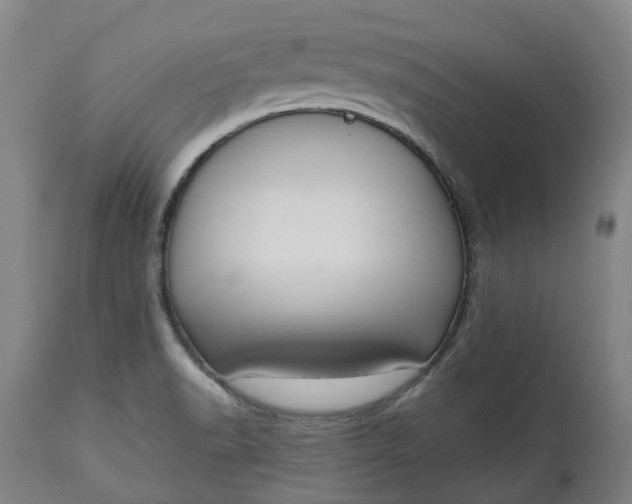 X0000113061518200909110902