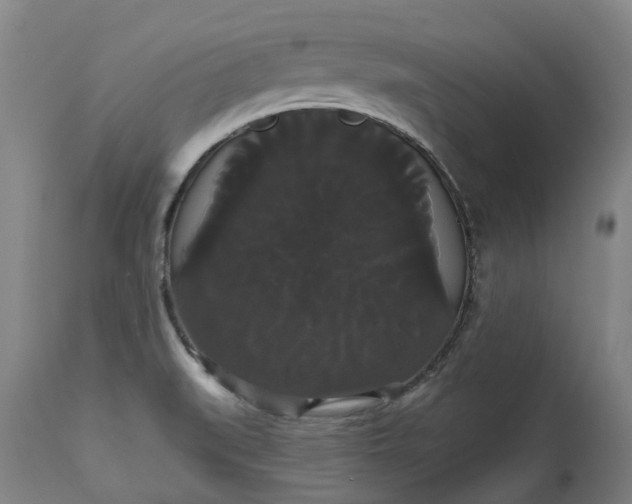 X0000113061519200909110902