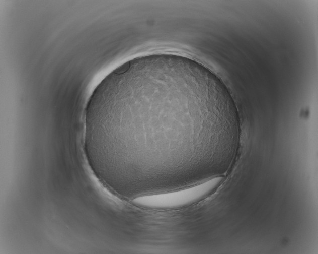X0000113061520200909110902