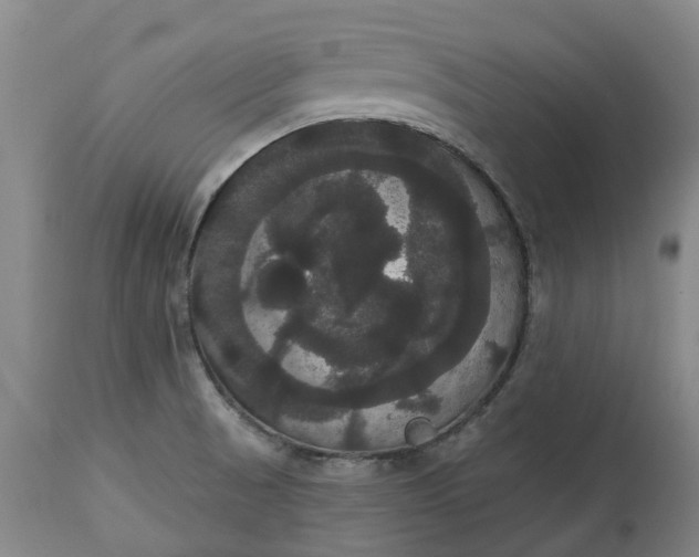 X0000113061521200909110902