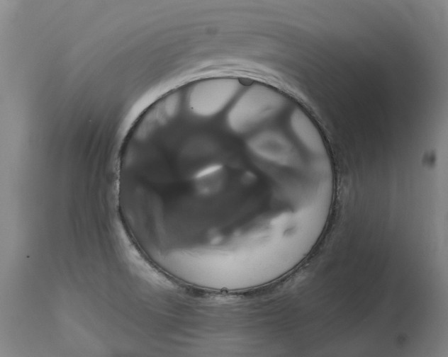 X0000113061522200909110902