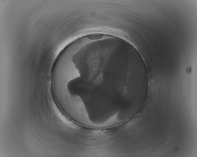 X0000113061523200909110902
