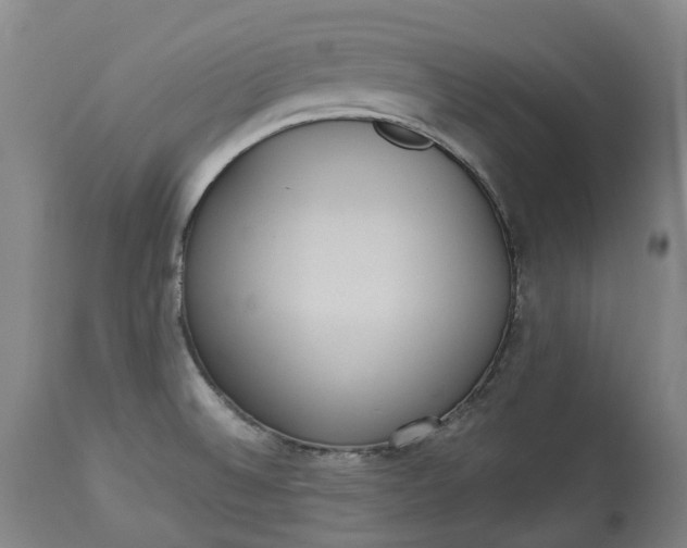 X0000113061524200909110902