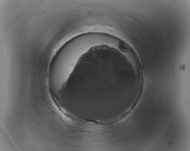 X0000113061525200909110902