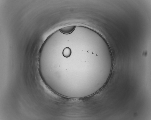 X0000113061526200909110902