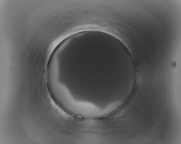 X0000113061527200909110902