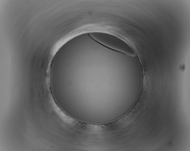 X0000113061528200909110902