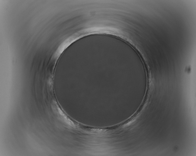 X0000113061529200909110902