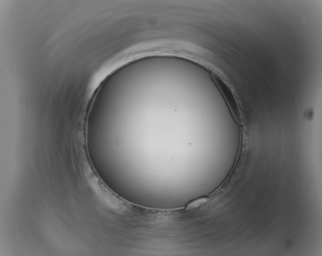 X0000113061530200909110902
