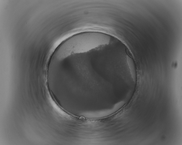 X0000113061531200909110902
