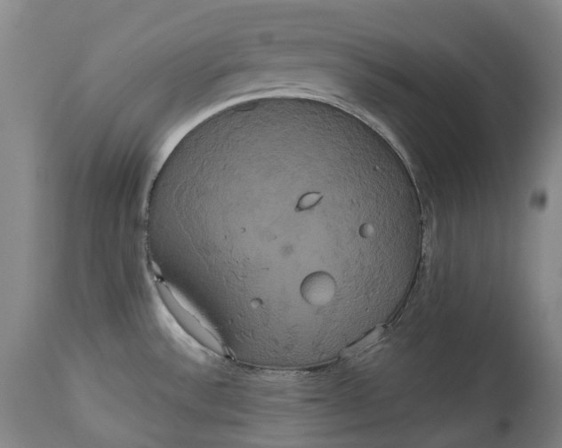 X0000113061532200909110902