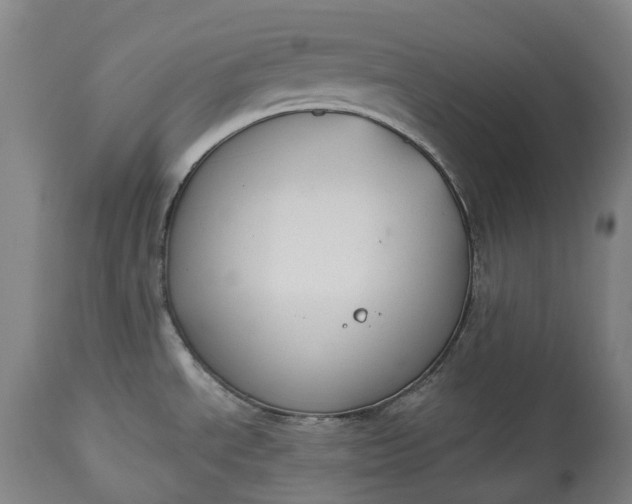 X0000113061534200909110902