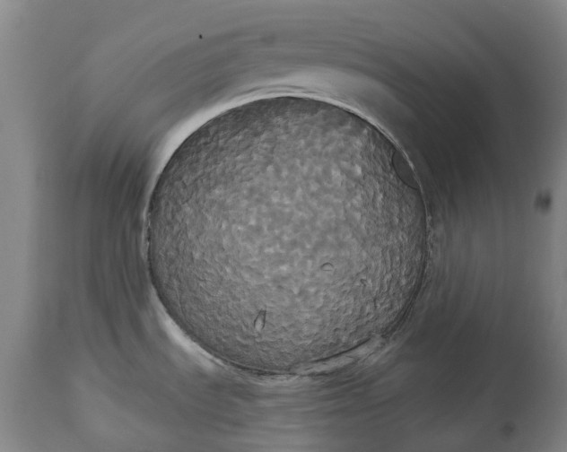 X0000113061535200909110902