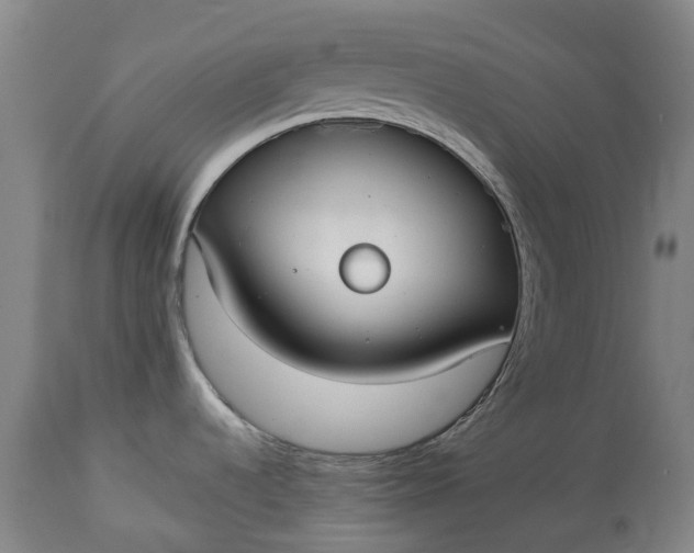 X0000113061536200909110902