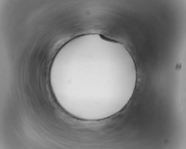 X0000113060001200909182012