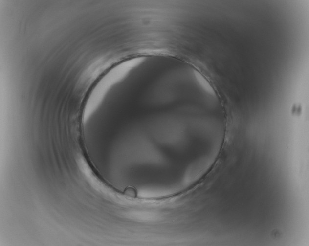 X0000113060002200909182011