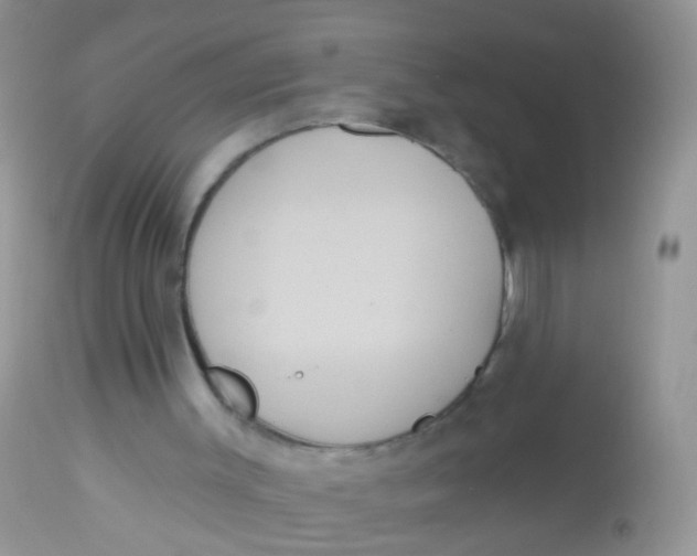 X0000113060003200909182011