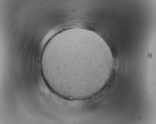 X0000113060004200909182011