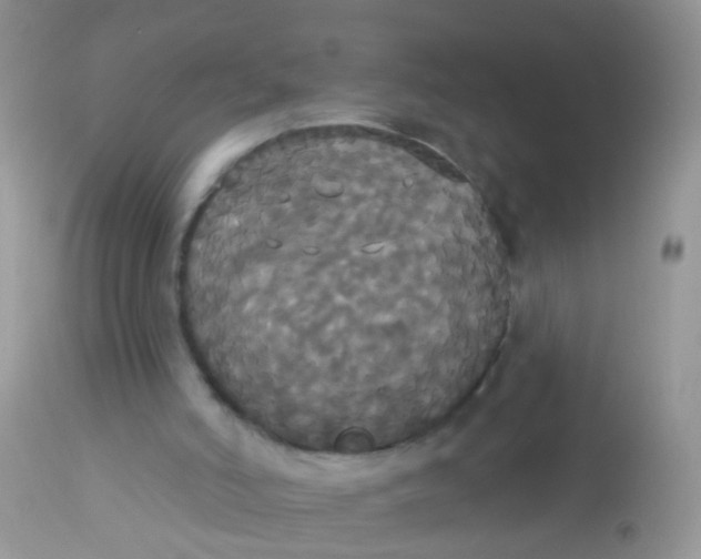 X0000113060006200909182011