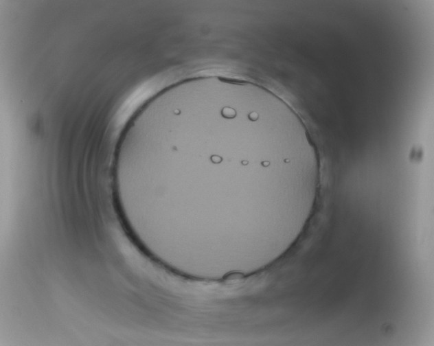 X0000113060007200909182011