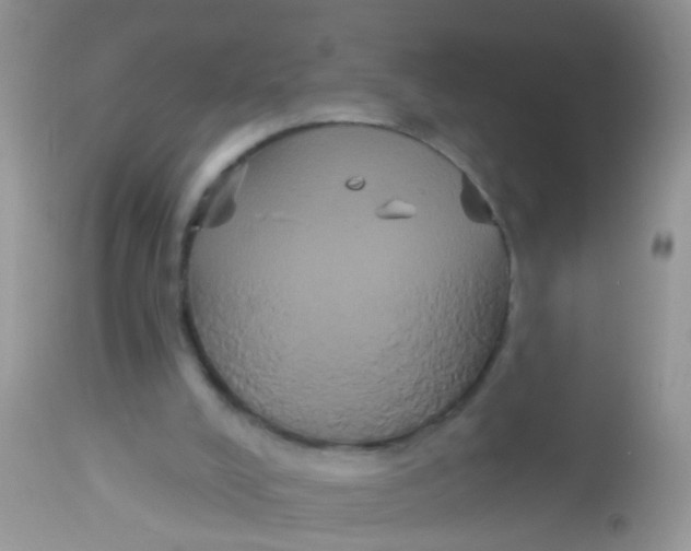 X0000113060008200909182011