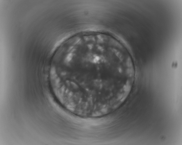 X0000113060010200909182011