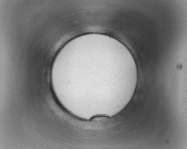 X0000113060011200909182011