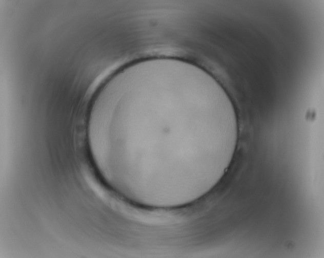 X0000113060012200909182011