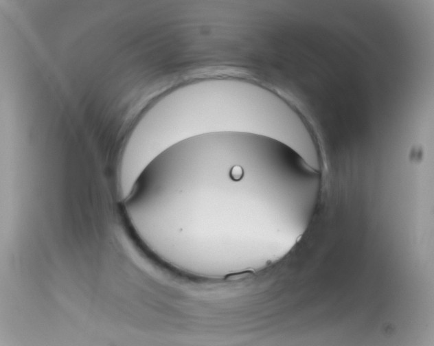 X0000113060013200909182011