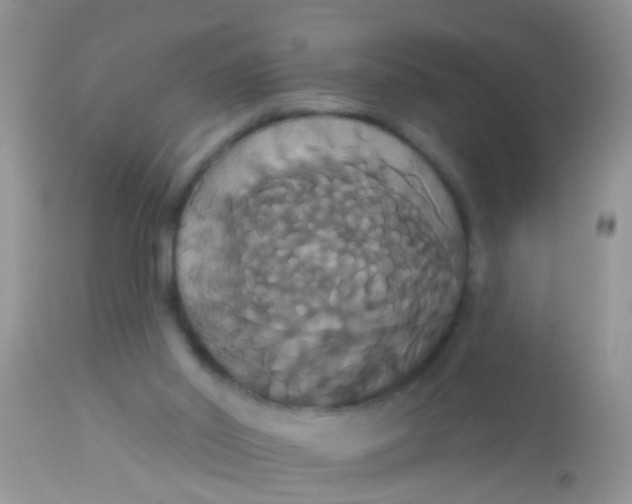 X0000113060014200909182011