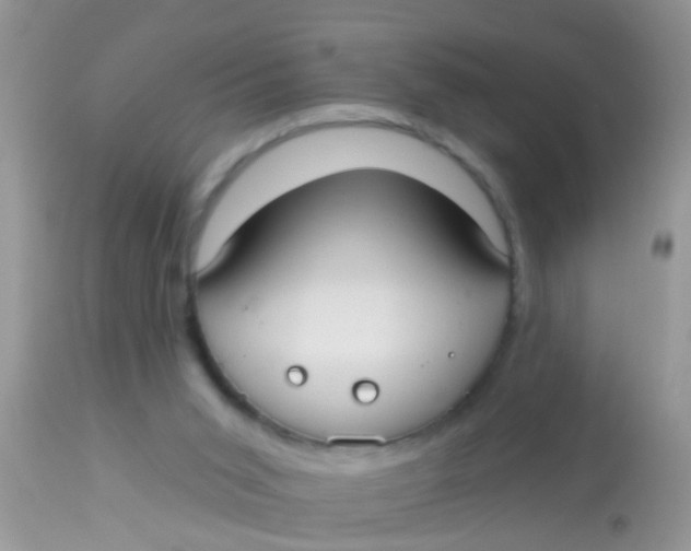 X0000113060015200909182011