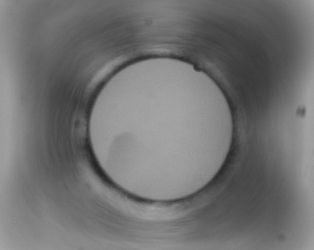 X0000113060016200909182011