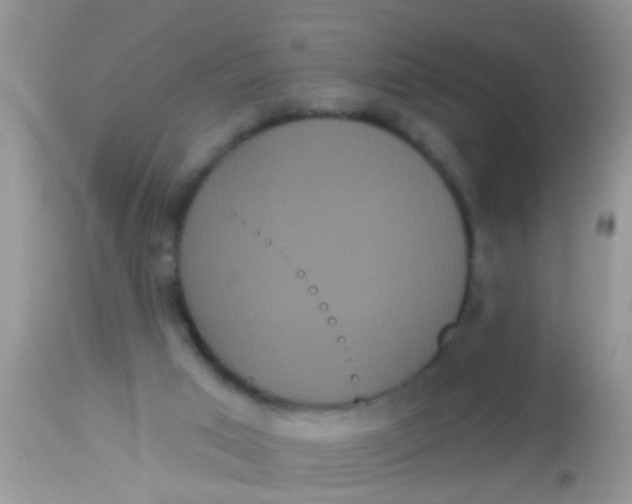 X0000113060017200909182011