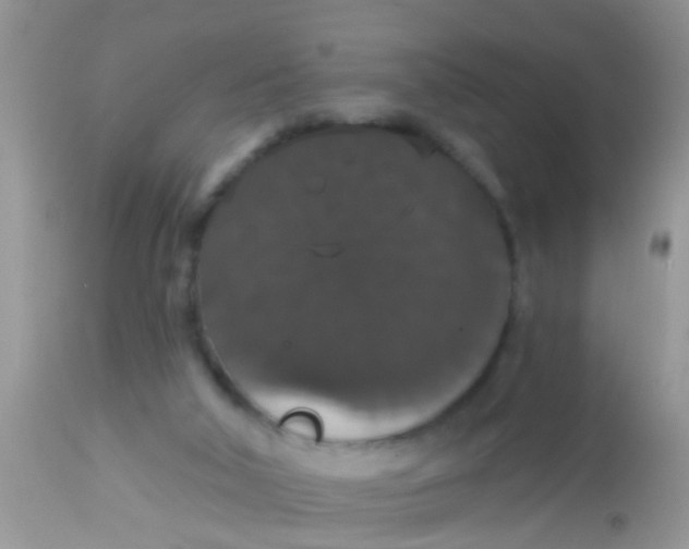 X0000113060018200909182011