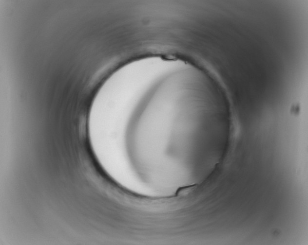 X0000113060019200909182011