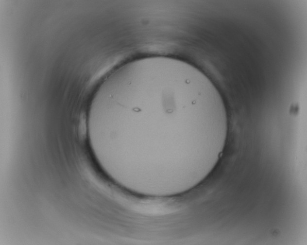 X0000113060020200909182011