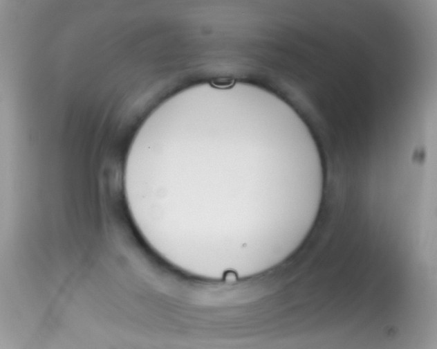 X0000113060021200909182011