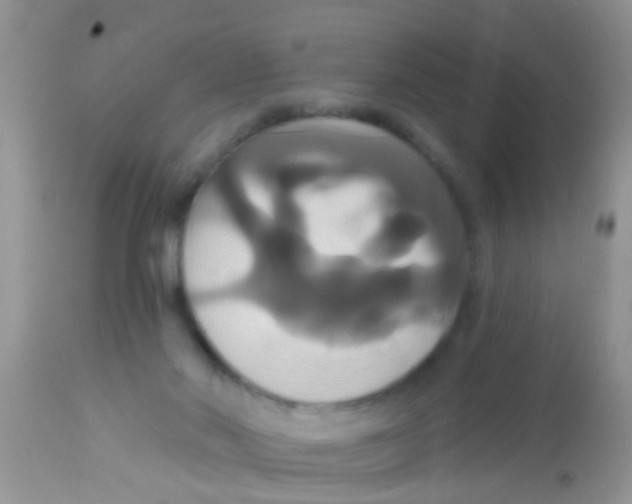 X0000113060022200909182011