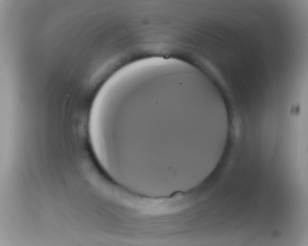 X0000113060023200909182011