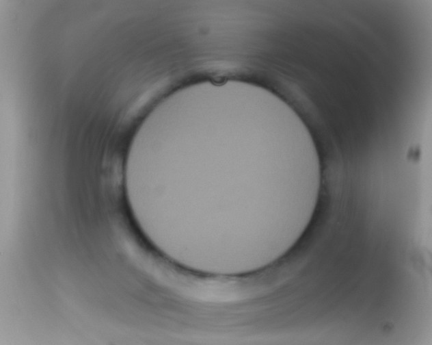 X0000113060024200909182011